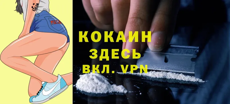 Cocaine Fish Scale  mega вход  Новокузнецк  дарк нет формула  магазин   