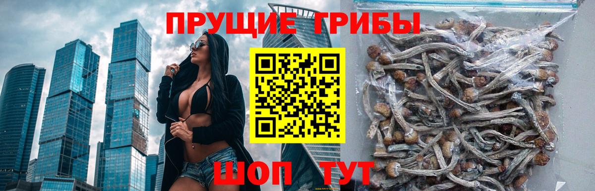 Псилоцибиновые грибы MAGIC MUSHROOMS  Вход с VPN  Новокузнецк 