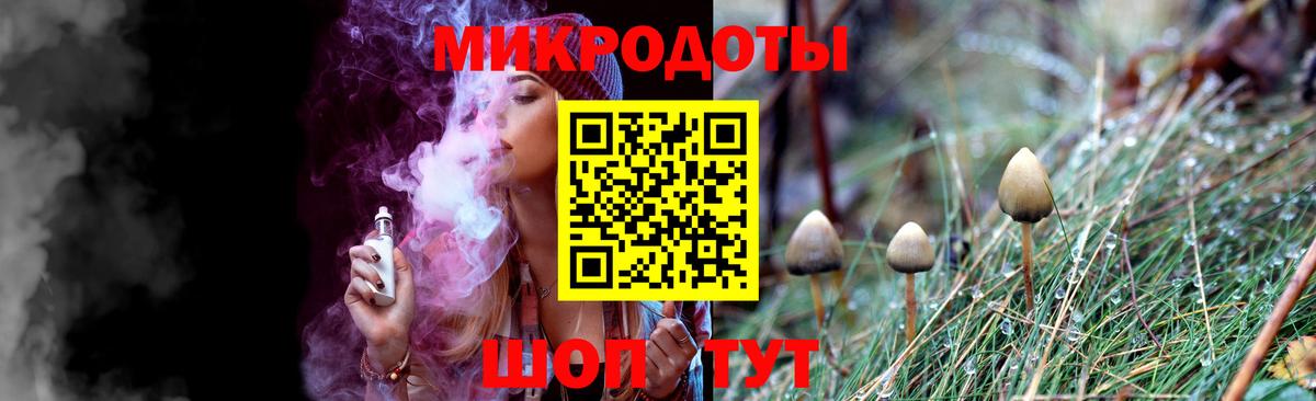 Галлюциногенные грибы Psilocybe  Новокузнецк  Псилоцибиновые грибы мицелий 