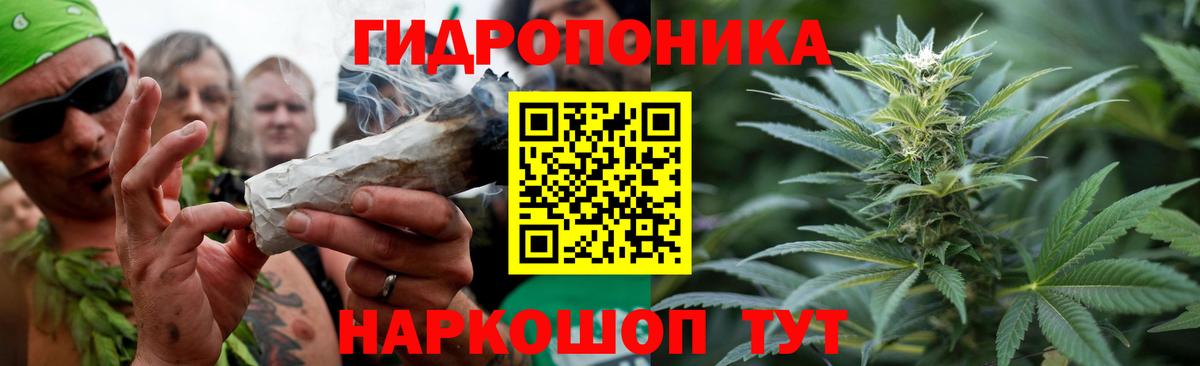 Конопля Amnesia Новокузнецк